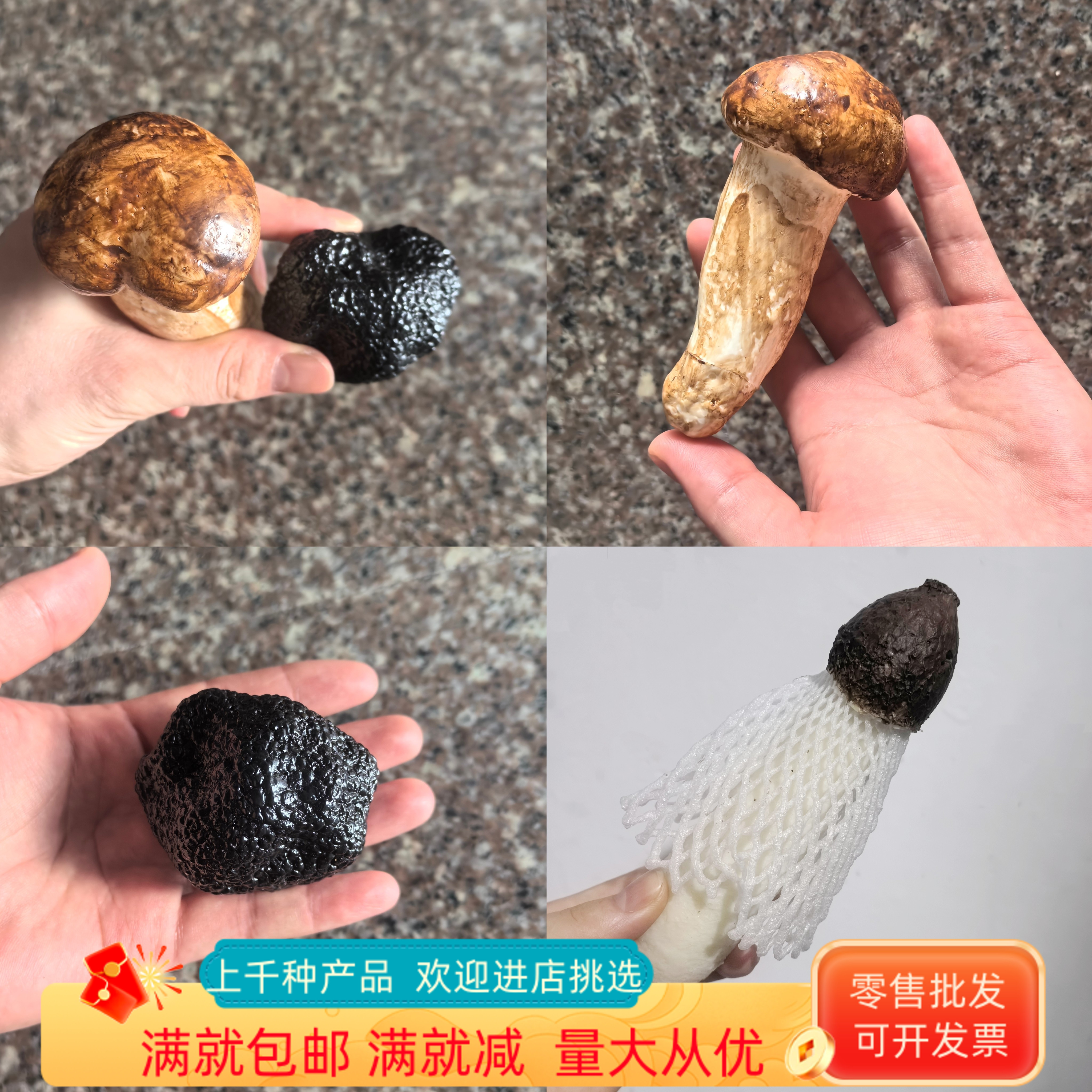 仿真竹荪模型假蘑菇蔬菜摆件道具