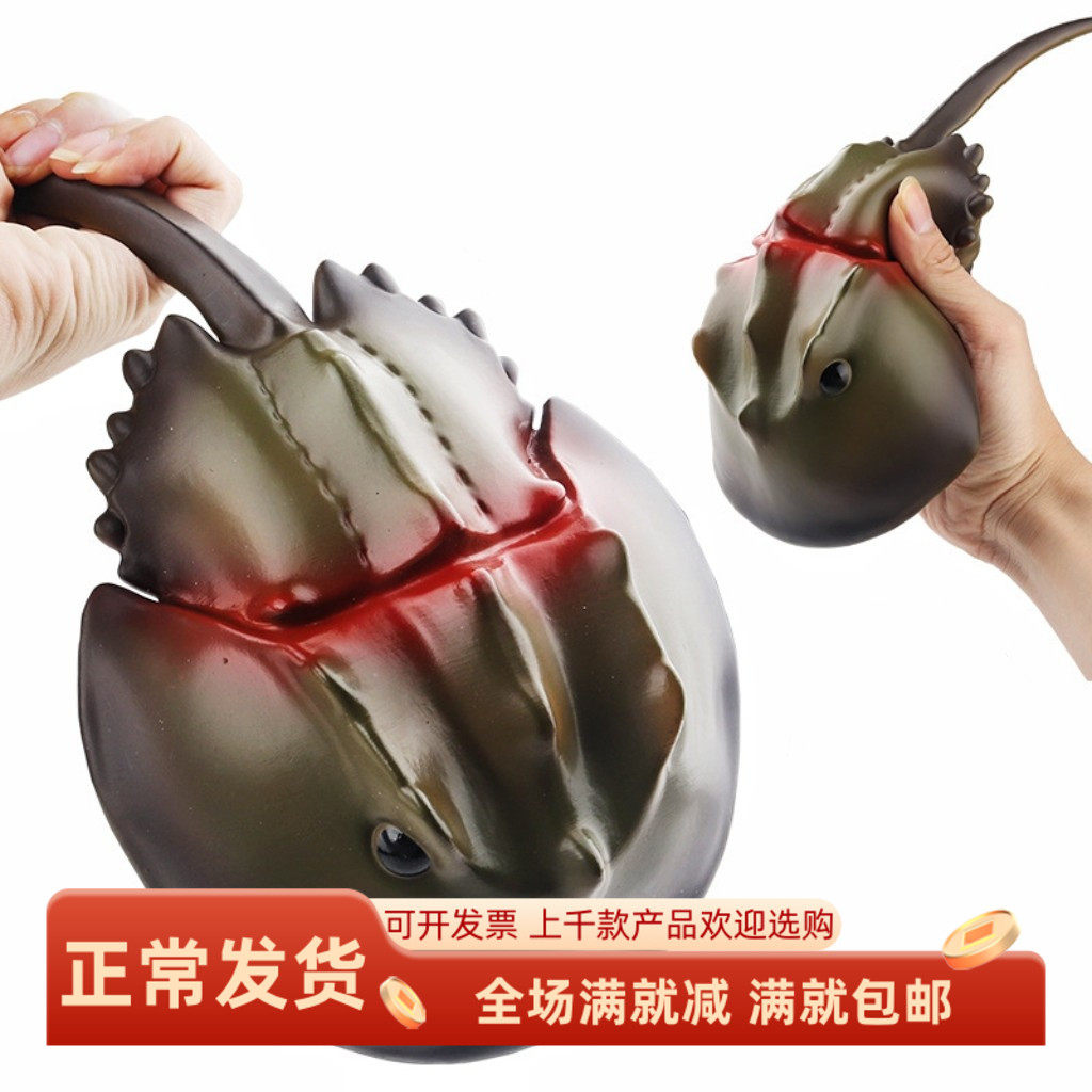 仿真软胶大鲎鱼模型样板道具立体