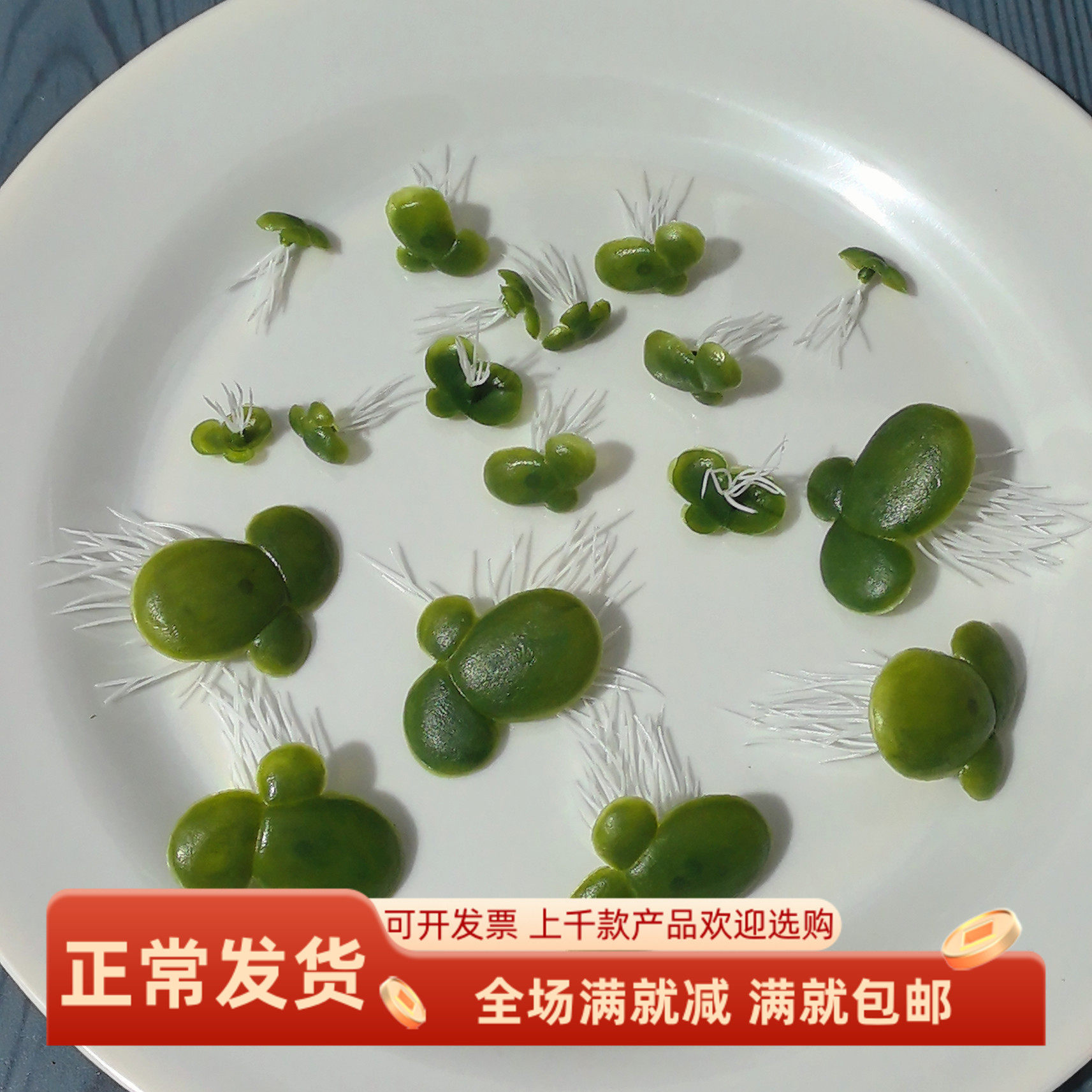 仿真浮萍水草带根金鱼缸塑料装饰品漂河面生物绿植叶子假花小道具