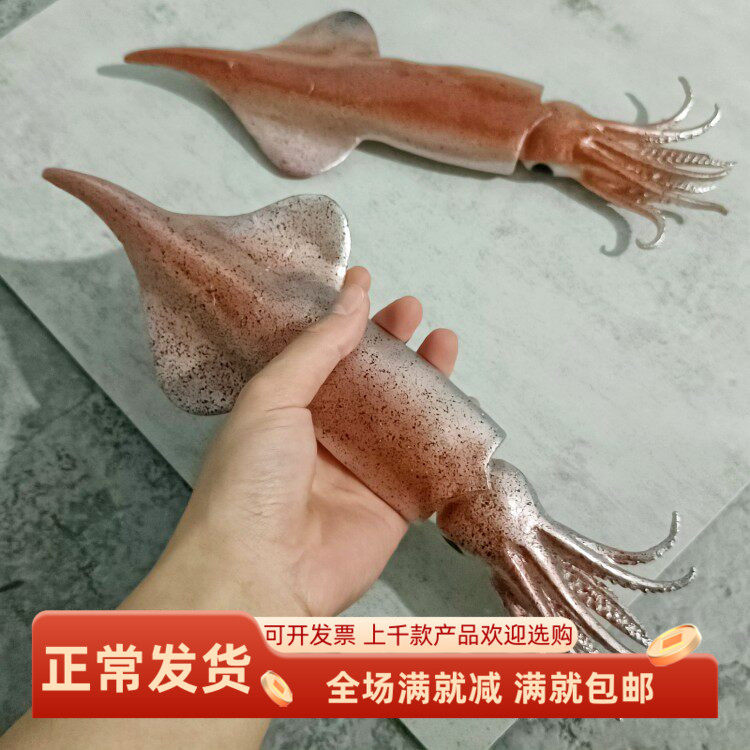 仿真鱿鱼模型海洋生物假水母乌贼儿童教学直播间搞笑玩道具装饰品