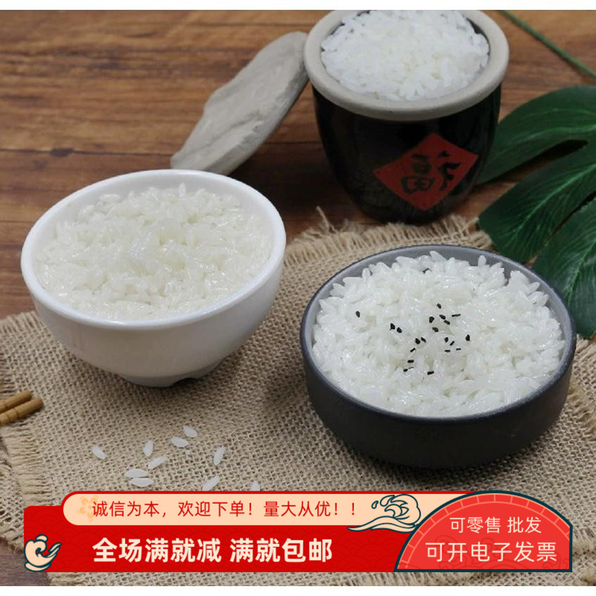 道具仿真模型裝飾品兒童擺件