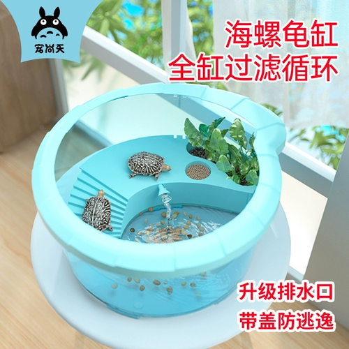 Танк с черепахой, выращивающий черепаховый танк, поднявший бразильские черепахи.