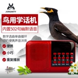 Penalian Akihiya Young Bird Learning Machine Machine Parrot