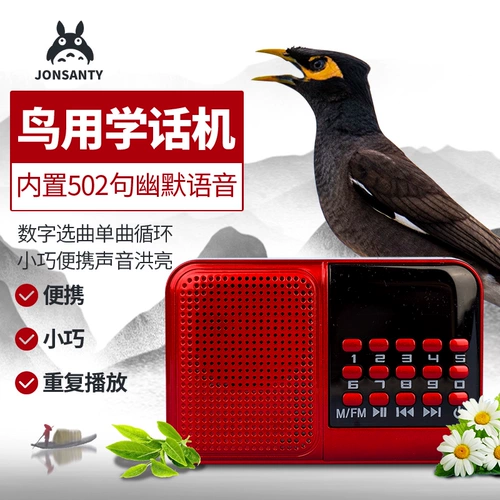 Penalian Akihiya Young Bird Learning Machine Machine Parrot
