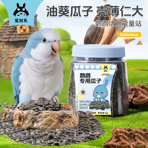 瓜子玄凤鹦鹉训练小零食油葵籽