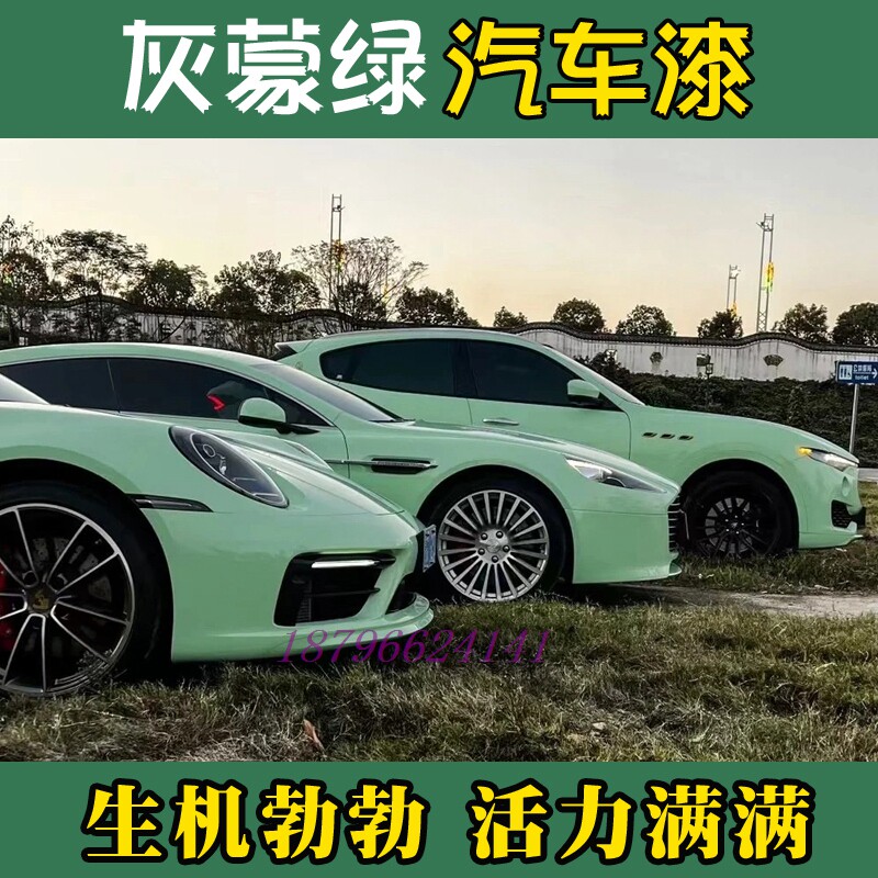 进口鹦鹉灰蒙绿个性改色汽车成品漆原厂汽车清漆套装全车喷漆翻新