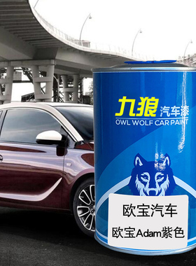 九狼欧油漆宝Adam紫色金属银晴空蓝雅特橙色汽车翻新喷烤成品漆