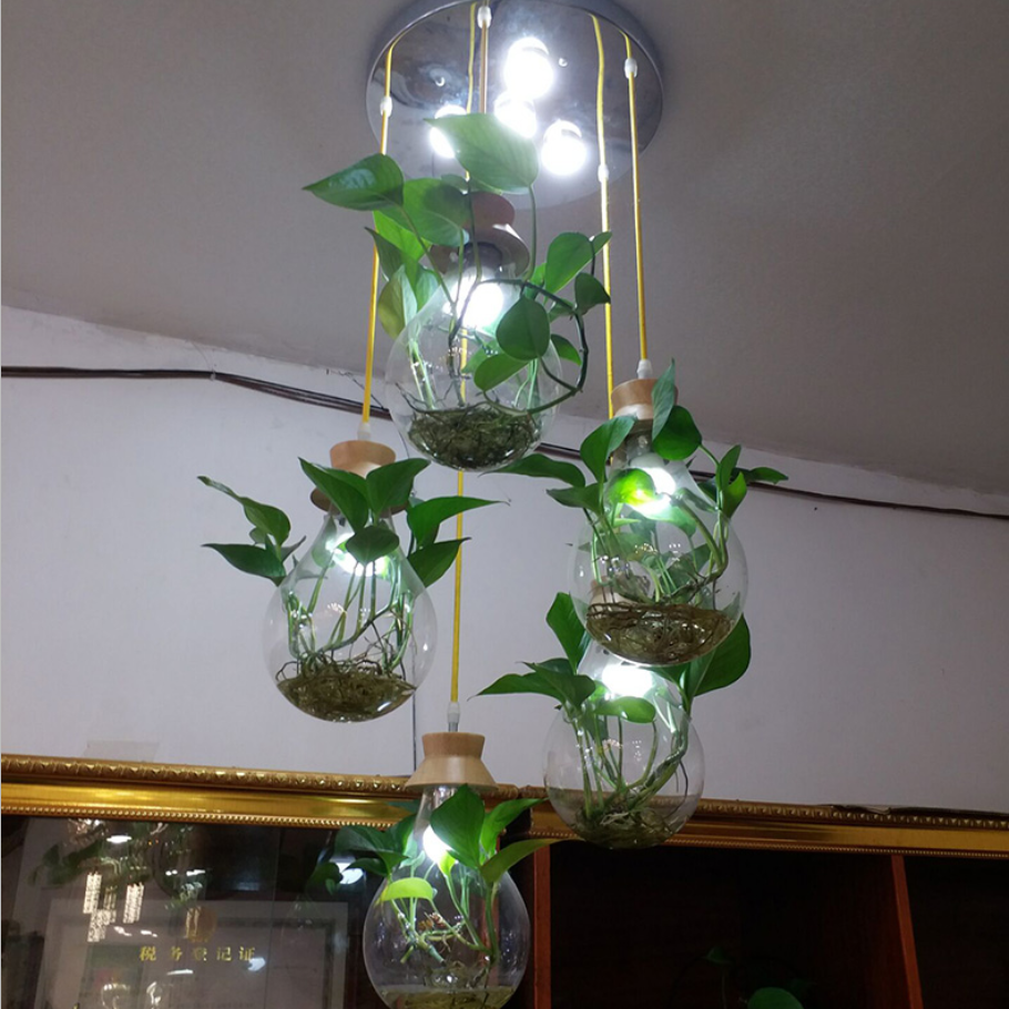 现代餐厅吊灯创意吧台玻璃瓶水养植物吊灯田园花店酒吧个性吊灯