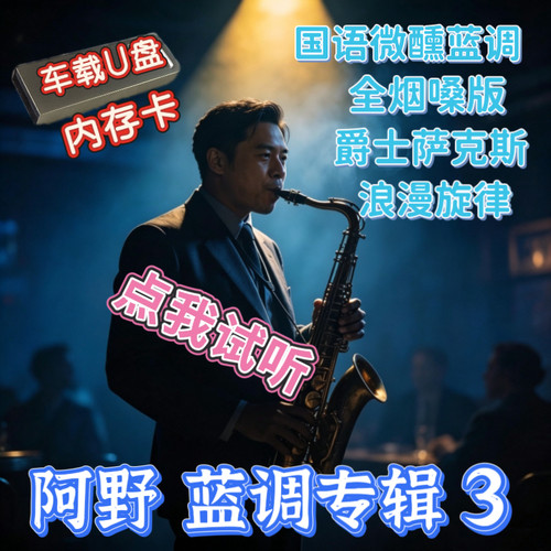 阿野中文国语蓝调歌曲车U盘TFSD内存卡抖音汽水音乐爵士乐烟嗓版