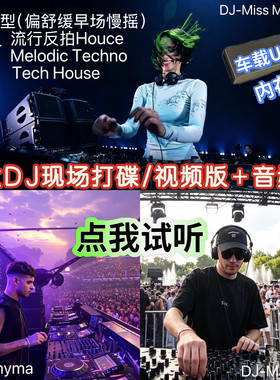 百大DJ电音现场打碟演出视频音频舞曲melodic汽车载USB优盘内存卡