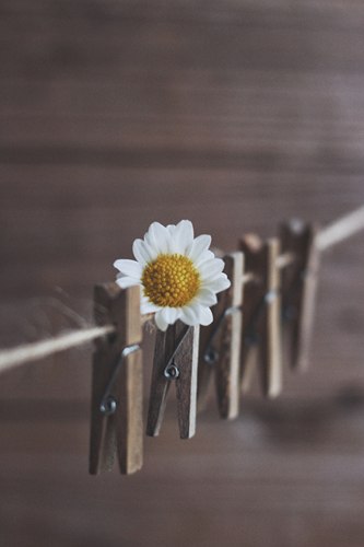 作旧木夹麻绳复古美食拍摄道具