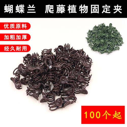 蝴蝶兰夹子爬藤植物固定夹