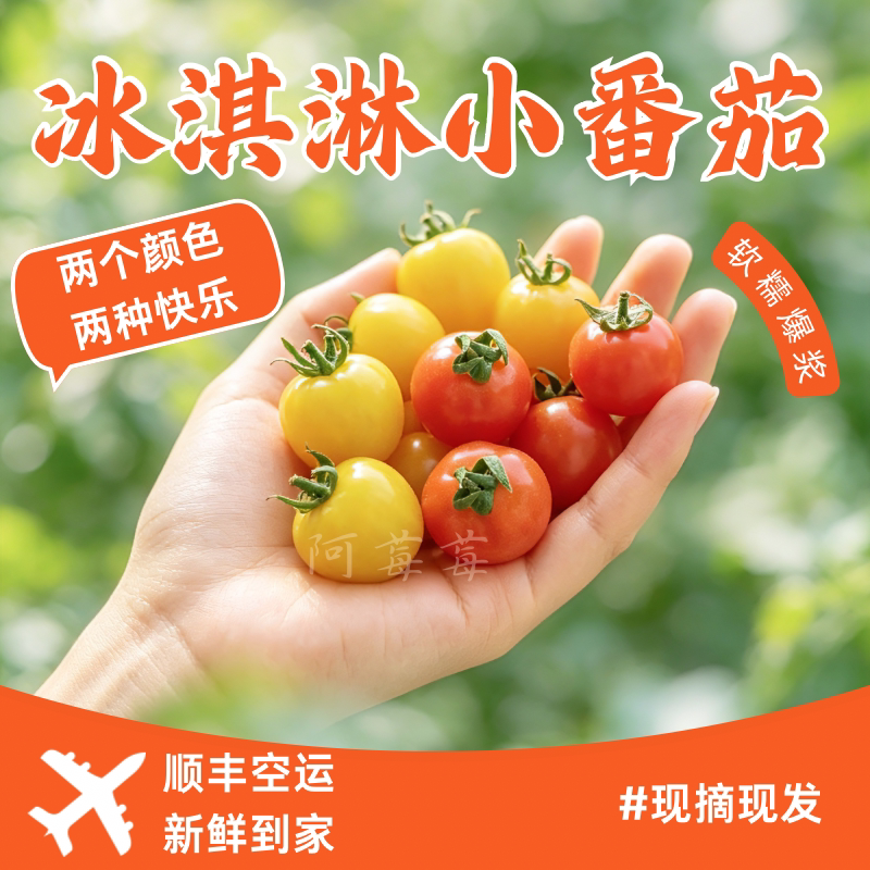 云南自然熟冰淇淋小番茄双拼爆汁清甜好吃甜番茄新鲜水果好吃多汁