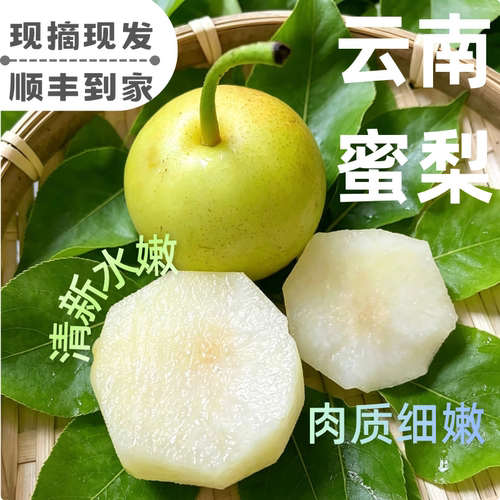 云南蜜梨新鲜水果当季现摘现发甜水果梨子香梨顺丰包邮