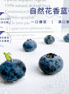 云南高原蓝莓花香L25空运新鲜基地直发
