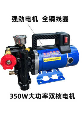 农用高压双缸柱塞打药机泵隆迈手提12v24v48v60v220v果树电动喷雾