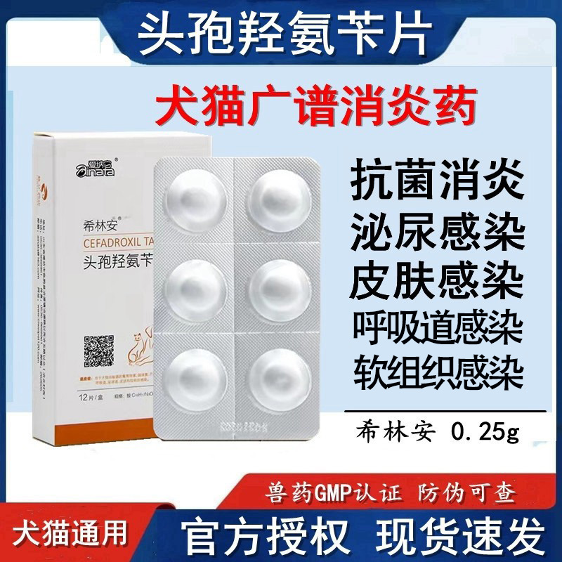 爱纳它宠物头孢羟氨苄犬用消炎药