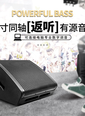 DIRTIS舞台有源同轴返听演出音响