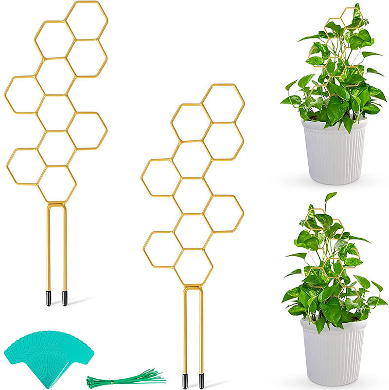 创意新款爬藤架 植物攀爬架 龟背叶雪莹格子花盆支架铁艺固定杆,鲜花速递/花卉仿真/绿植园艺,花架,淘宝优惠券,粉丝福利购,淘宝优惠卷