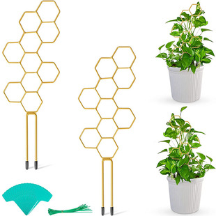 创意新款爬藤架 植物攀爬架 龟背叶雪莹格子花盆支架铁艺固定杆