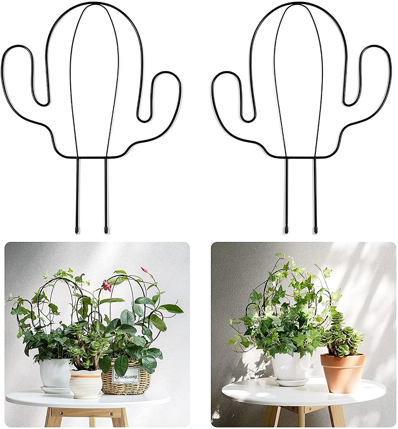 爬藤攀爬架绿植盆景支架