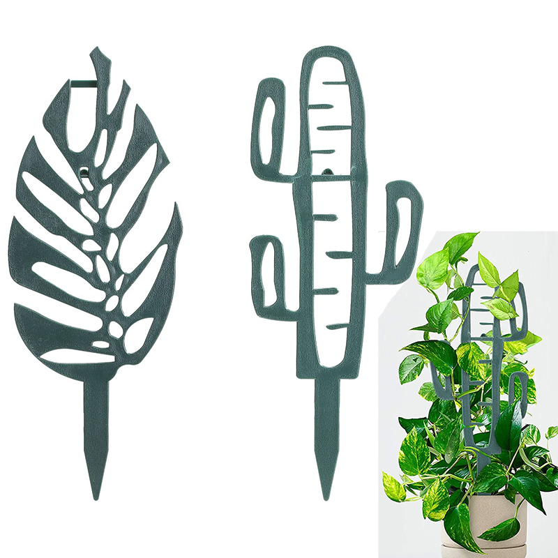 山乌龟植物攀爬架花架爬藤架