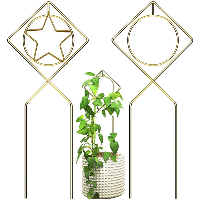 铁艺绿植爬藤攀爬架 盆栽ins风支架山乌龟阳台庭院支撑杆花架固定,鲜花速递/花卉仿真/绿植园艺,花架,淘宝优惠券,粉丝福利购,淘宝优惠卷