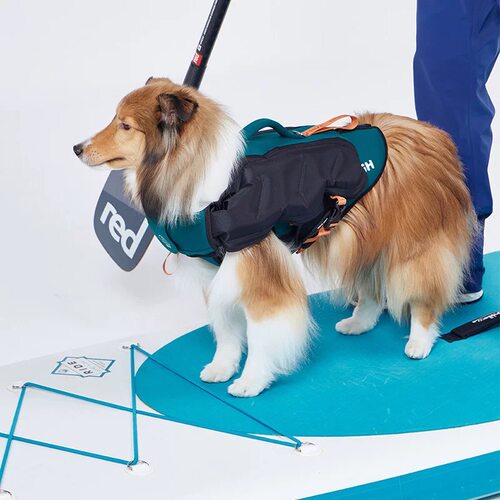 Tailhigh韩国狗狗游泳充气救生衣夏季小型犬大型犬外出充气泳衣