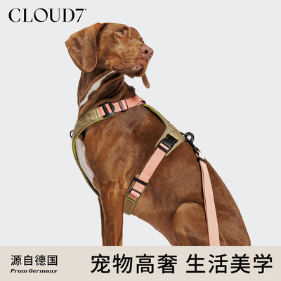 德国cloud7减压运动Y2狗胸背减震舒适防爆冲背心胸背带Y字形胸背