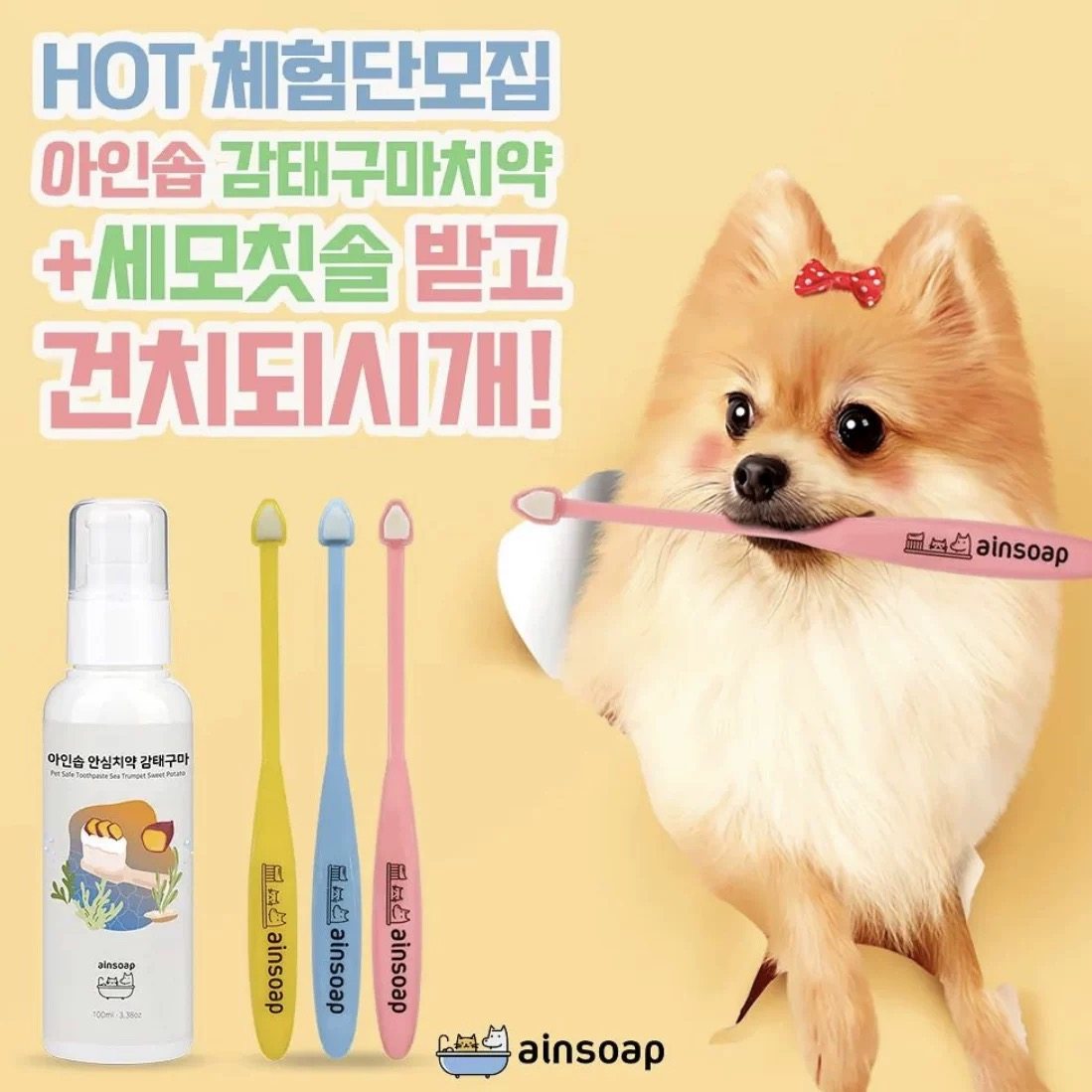 现货韩国正品Ainsoap柔软细毛小刷头宠物猫狗牙刷牙膏