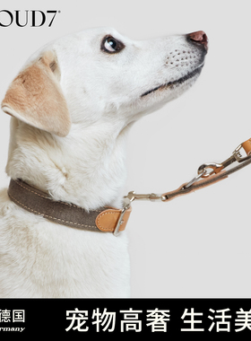 德国cloud7蒂沃利狗狗宠物项圈小中大型犬牛皮脖圈牵引绳子