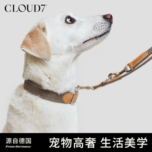 德国cloud7蒂沃利狗狗宠物项圈小中大型犬牛皮脖圈牵引绳子