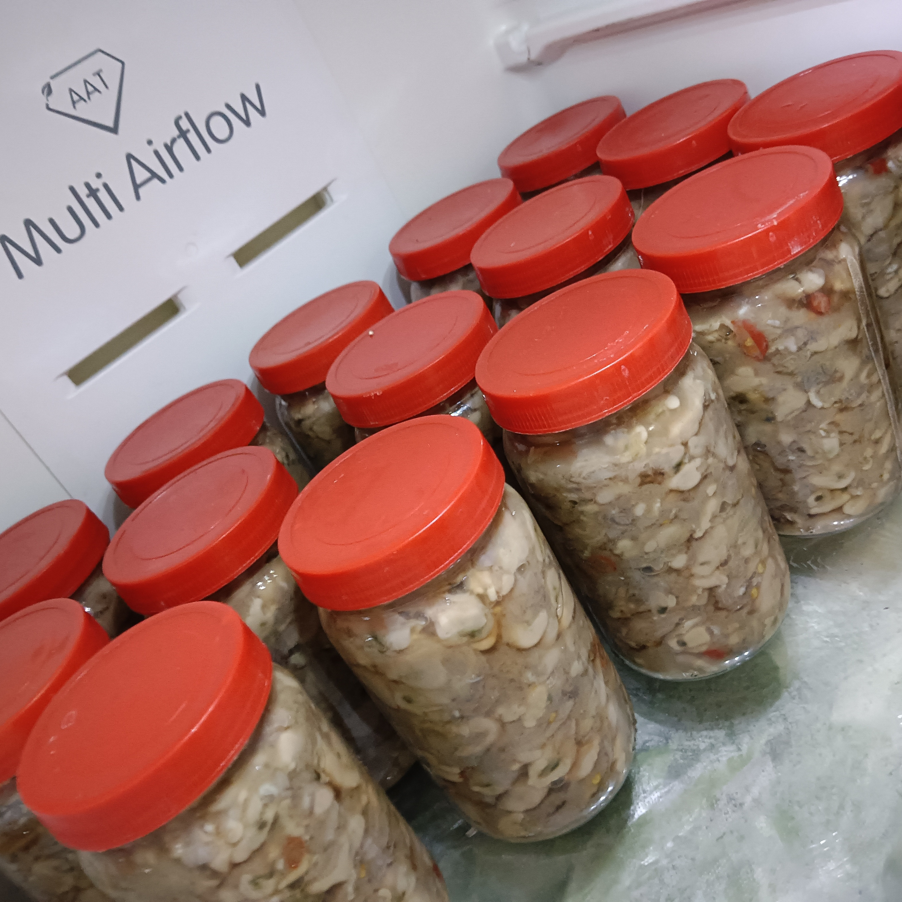汕尾本地潮汕腌制蚝仔解新鲜即食湖内咸蚝仔解生腌咸牡蛎罐头小蚝