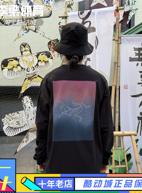 Arcteryx始祖鸟Kragg Cotton Heatmap彩色Logo彩标纯棉长袖 X8482