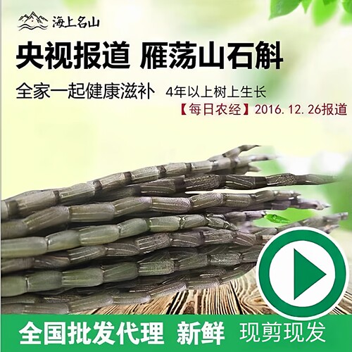 雁荡山铁皮石斛鲜条4年