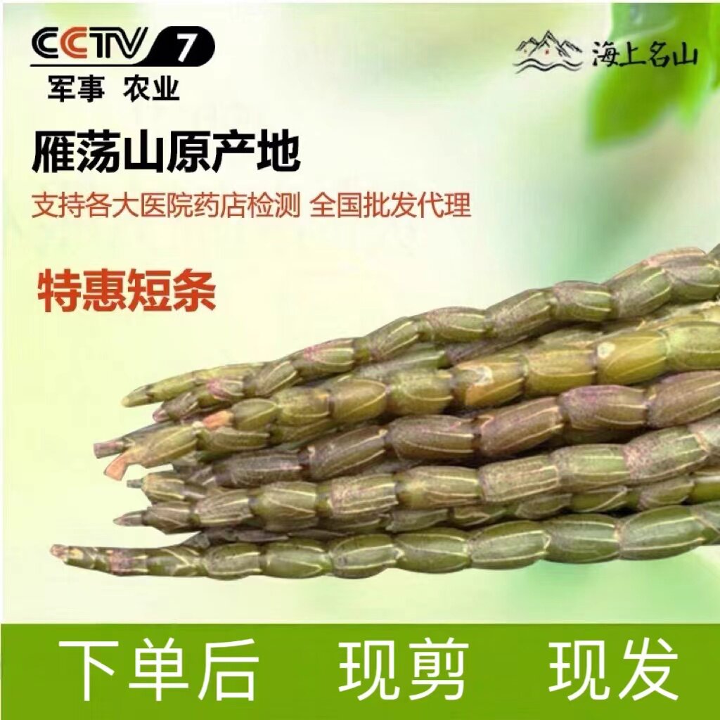 新鲜鲜条枫斗非霍山铁皮石斛