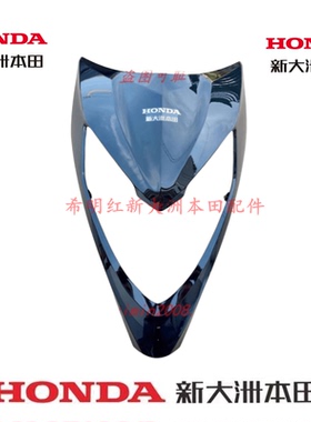 新大洲本田摩托车配件125T-35U+DIO使用黑色前面板原装配件实物图