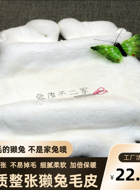 不掉毛的獭兔皮整张獭兔毛皮料皮毛一体内胆毛领护膝真兔毛布面料