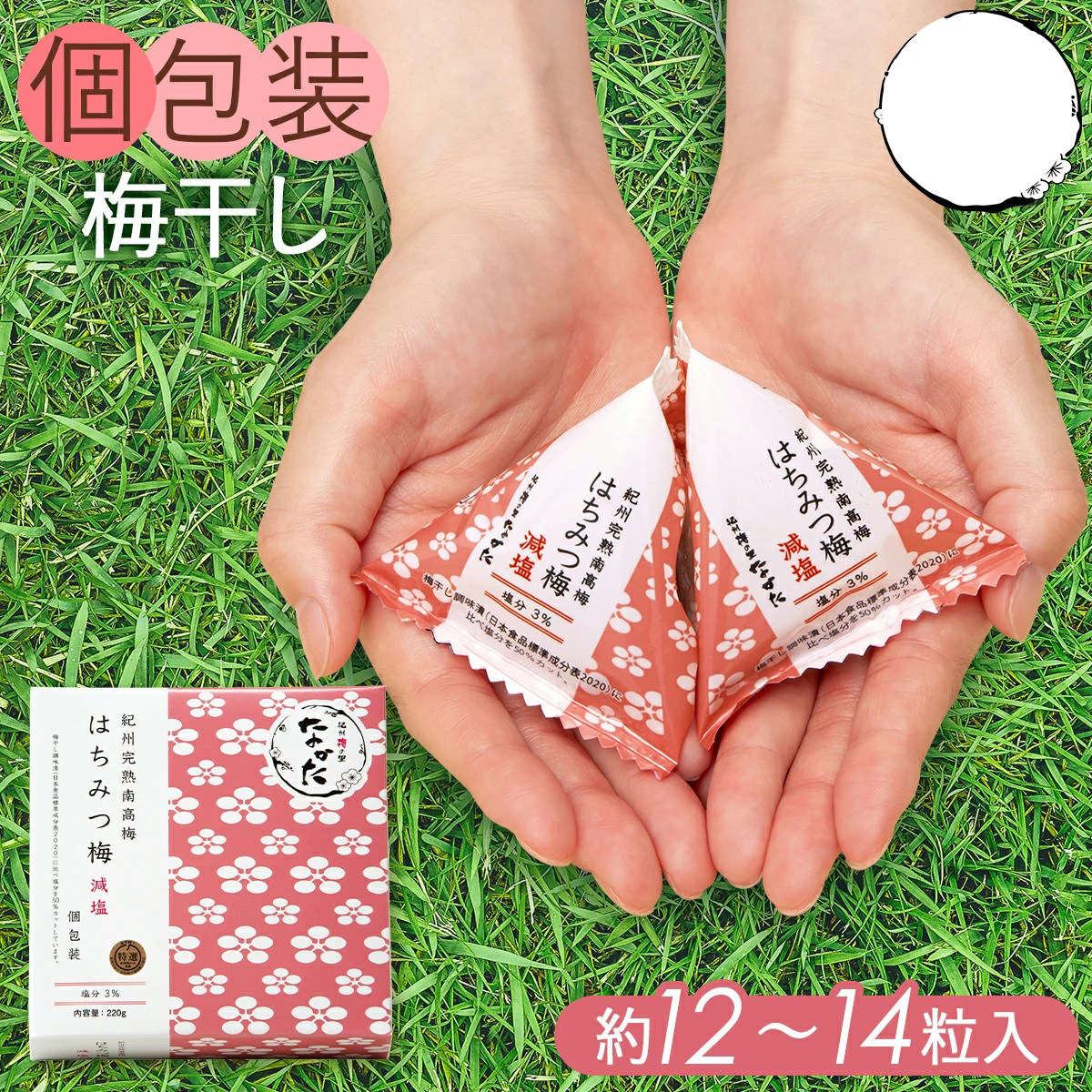 日本直邮 中田食品蜂蜜梅干独立包装和歌山纪州南高梅盐分3% 220g
