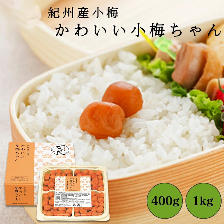 日本直邮 中田食品 可爱小梅和歌山县产 纪州产小梅梅干 盐分11%
