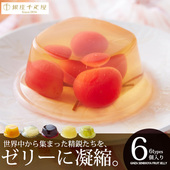 6种口味 银座布丁 6枚 75G 礼物 日本直邮 枚 银座千疋屋果冻