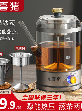 黑茶煮茶器高温喷淋养生壶
