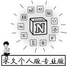 plan notion.work pro personal 无限容量 永久个人专业版