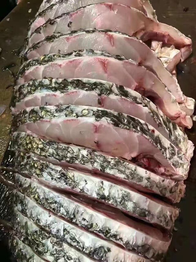 潮汕本港海捕新鲜赤嘴鳘鱼肉切片其它