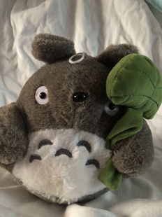 外贸尾单可爱卡通龙猫小熊草莓熊手腕鲨鱼公仔玩偶毛绒玩礼物