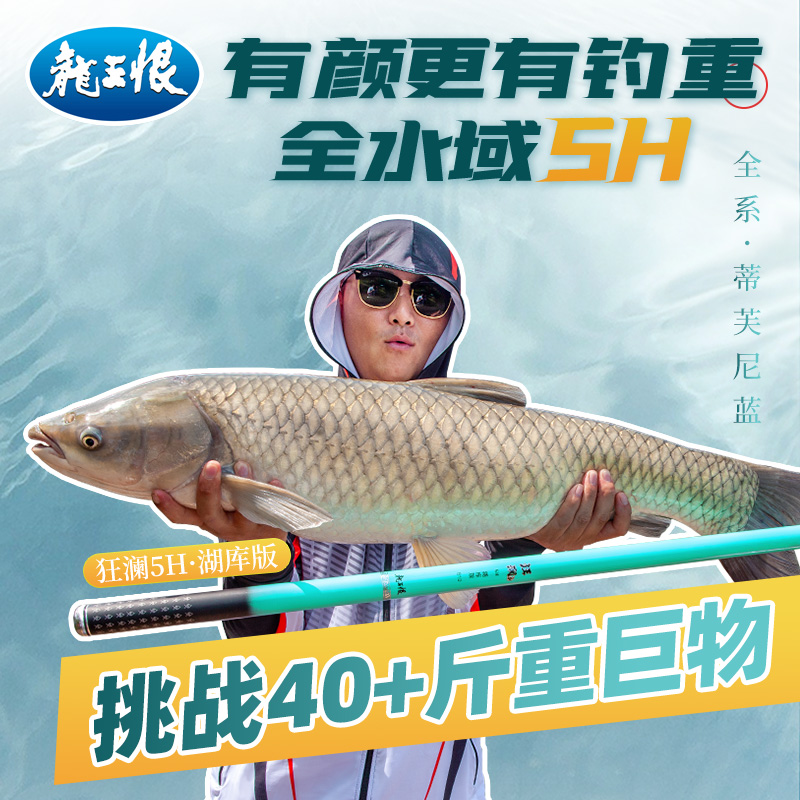 龙王恨狂澜鱼竿轻量鲫鱼手杆28调偏37调野钓台钓竿高碳素钓鱼竿