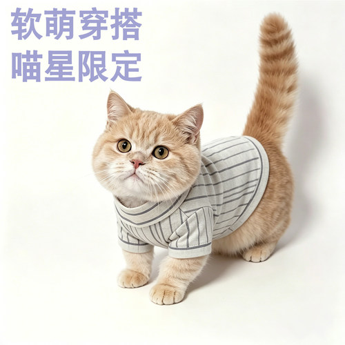 布偶猫咪防掉毛衣服春夏新款夏天吊带宠物轻薄透气公主学院风裙子
