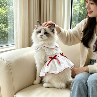 布偶猫咪夏天衣服裙子防掉毛可爱吊带轻薄透气公主裙2026新款洋气