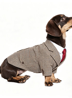 腊肠狗狗西装宠物衣服小型犬夏天薄款公主裙漂亮2026新款幼犬洋气