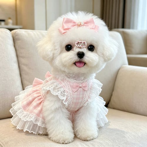 狗狗猫咪裙子宠物衣服漂亮公主裙夏款小型犬透气舒适新款幼犬背心